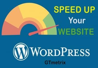 I will speedup wordpress website and improve gtmetrix scores
