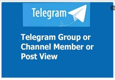 Real & Active Per Thousend T Gram Channel Audience