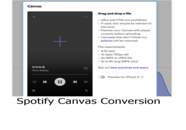 Format your MP4 to a 9.16 720px Spotefi Music Canvas