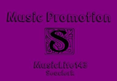 Music Promote To Your Single Song Hits And Downloads