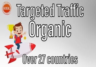 3000 Visitors Targeted Real and Organic Traffic