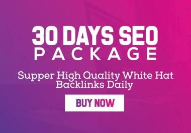 2021 latest 30 Days White Hate SEO Package just in