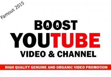 YouTube Video Social Media Boost For You