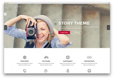 wordpress website design woocommerce,  magazine,  landing page and etc