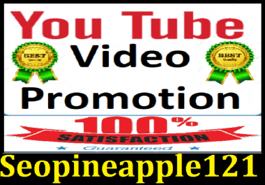 After Update working YouTube Video promotion and Social media Marketing