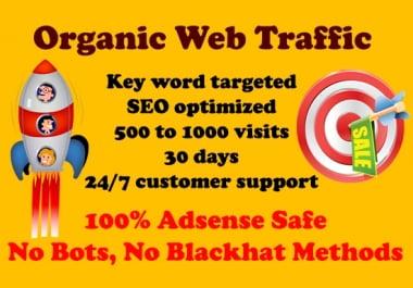 Daily 500+ organic key word targeted WEB TRAFFIC for 30 days