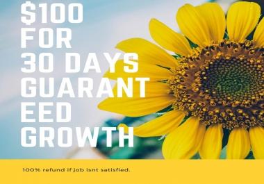 Social Media Virtual Assistant