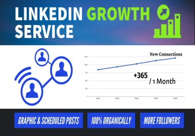 Linkedin Growth Service - Organic Promotion Marketing
