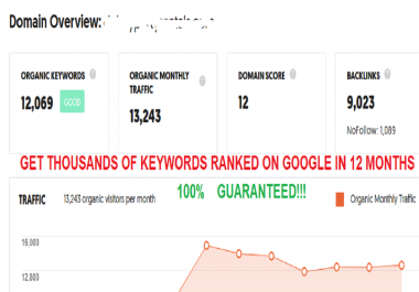 Monthly SEO Package Rank 10,000 Keywords On Google