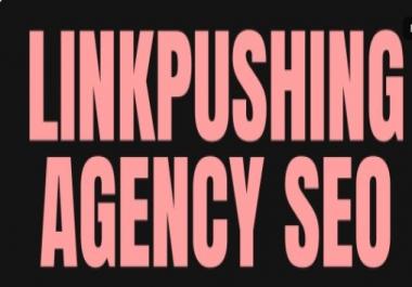 V2 Linkpushing AGENCY SEO 2 Weeks Results Guaranteed OR Refund