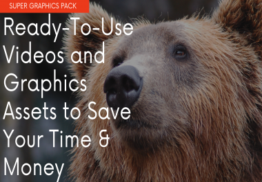 Ready-To-Use Videos and Graphics Assets to Save Your Time & Money