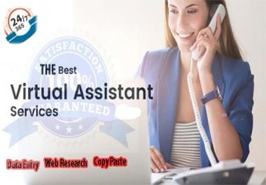 I will be your virtual assistant, data entry, web research, copy paste