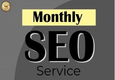 I will Provide Monthly Seo Service For Google Page 1