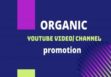 Organic Youtube video promotion and Marketing to grow more Audience