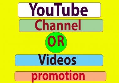 High-Quality Youtube promotion & social media marketing