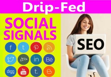 Rank Your Website 1st by drip fed 1000 Social Share