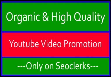 Organic and High Quality YouTube Video Promotion