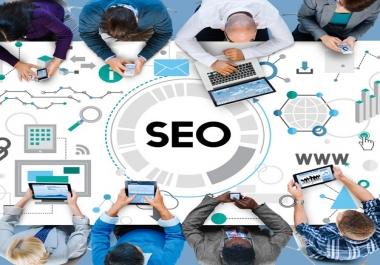 Pro Anchor text SEO Backlinks with Increase your website Ranking