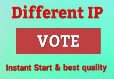 Get Top Quality Votes Provider For Your Contest