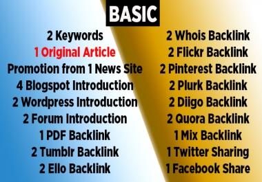 SEO Packages with Original and Promotional Articles