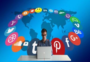 Professional Social Media and SEO Management and promotion