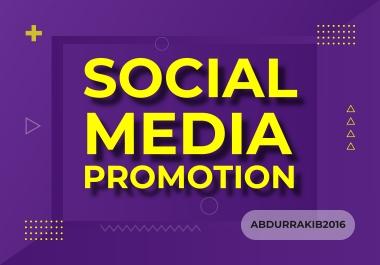 To Get High Quality Social Media Promotion With Fast Delivery
