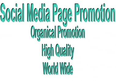 World Wide Social Media Page Promotion Instant