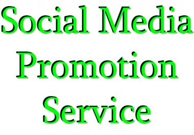 Social Media profile Promotion Instnat