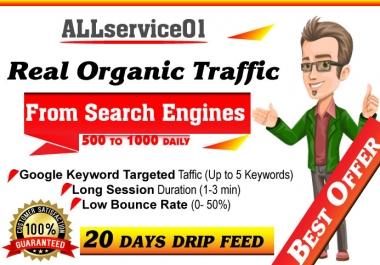 Organic Keywords Targeted GOOGLE Search Engine Traffic