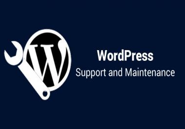 WordPress Support - Installing, Theme, Plugin, HomePage, Form, Post, SEO, WooCommerce