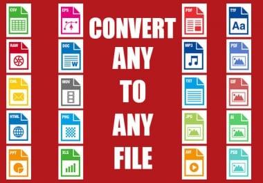 I will convert any file,  video or audio to mp3,  mp4 and any format