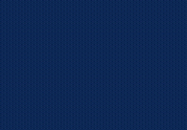 will design professional logo for your site / blog / company