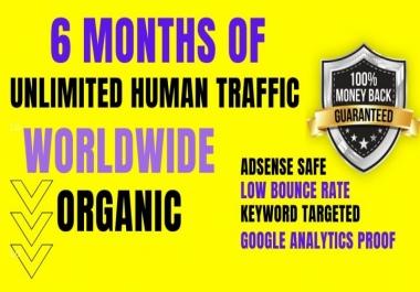 UNLIMITED Worldwide Real Website TRAFFIC for 6 months