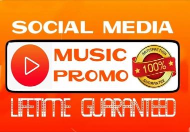 Do social media music promotion professionally
