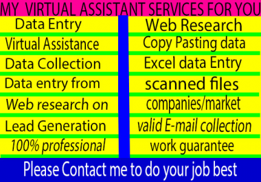 I will be your virtual assistant for data entry,  web research,  Copy and Paste work