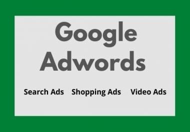 I will setup,  optimize and manage google ads PPC campaign for adwords