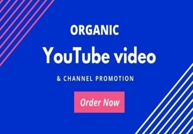 Professionally Do Organic YouTube video promotion with active audience