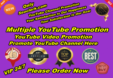 You Will Get Original Natural YouTube Promotion High Quality