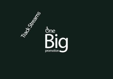 Do Organic Music Promotion For Track Streams Rank On Google