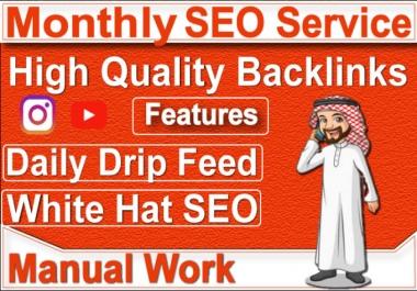 Drip Feed Your Website With White Hat SEO Backlinks Service For 30 days