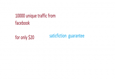 drive 1000 organic targeted unique visitors