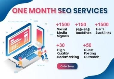 I will do SEO campaign for 1 month WordPress,  eCommerce Website