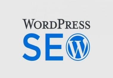 I will perform onsite SEO in your WordPress website