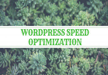 Wordpress Speed optimization,  Boost up your WordPress site performance