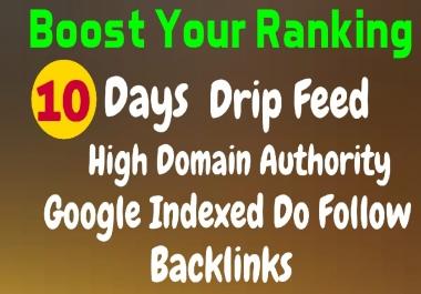 10 days drip feed offpage seo DA 50+ links