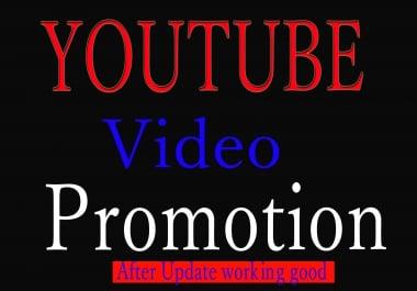 I will do Natural YouTube Video Promotion via organic seo marketing