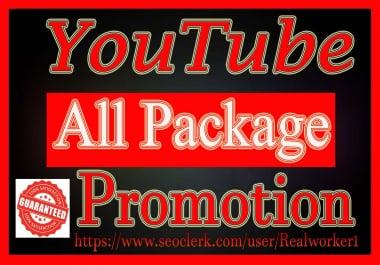 High Quality YouTube Promotion Social Media Marketing Fast Delivery