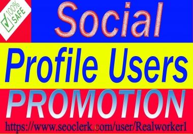 Super Fast Social Profile Promotion High Quality