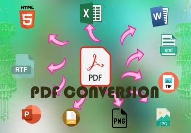 I will do pdf conversion to word excel or PowerPoint