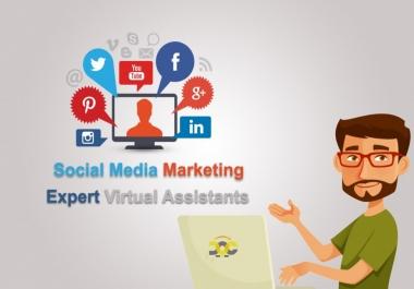 be your virtual assistant / social media marketing manager